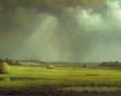 马丁 约翰逊 赫德 : Newburyport Meadows